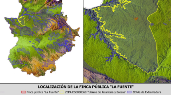 tagus-international-national-park-little-bustard-habitat-fundacion-iberdrola-espana-3 tagus-international-national-park-little-bustard-habitat-fundacion-iberdrola-espana-3