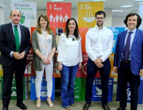 Sustainable Development Goals (SDGs)