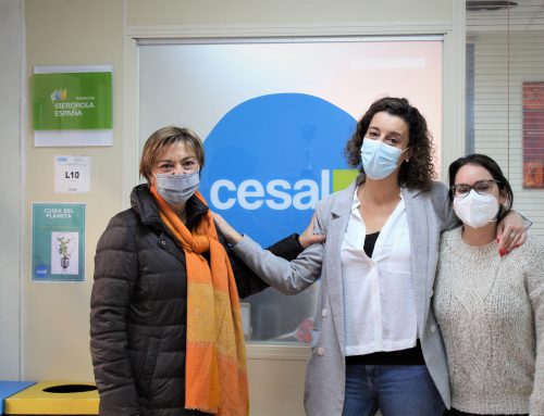 Cesal Association