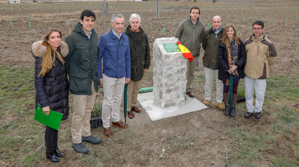 bosques-defensa-iberdrola-reforestacion-fundacion-iberdrola-espana-2 bosques-defensa-iberdrola-reforestacion-fundacion-iberdrola-espana-2