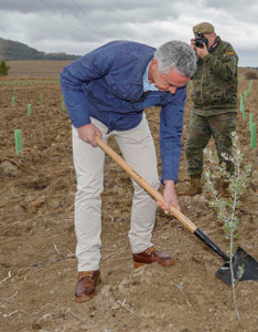 bosques-defensa-iberdrola-reforestacion-fundacion-iberdrola-espana bosques-defensa-iberdrola-reforestacion-fundacion-iberdrola-espana