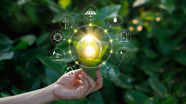 partnerships-biodiversity-climate-change-fundacion-iberdrola-espana partnerships-biodiversity-climate-change-fundacion-iberdrola-espana