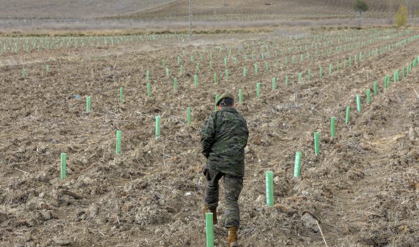 fundacion-iberdrola-espana-reforesta-campo-maniobras-tiro-militar-renedo-cabezon-valladolid2