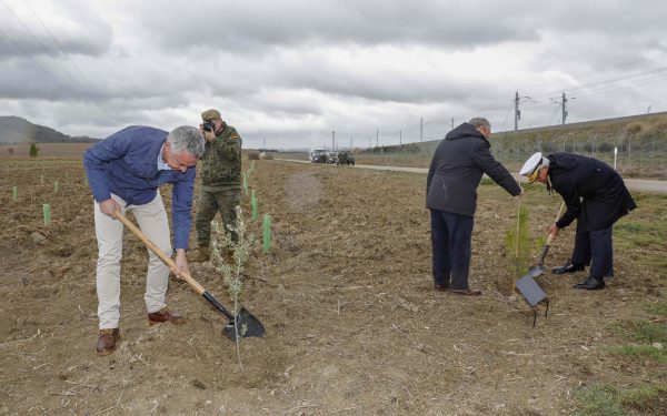 fundacion-iberdrola-espana-reforesta-campo-maniobras-tiro-militar-renedo-cabezon-valladolid