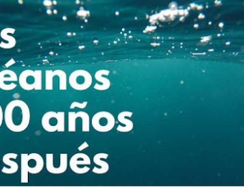 «Los océanos 500 años después» con Instituto Cervantes
