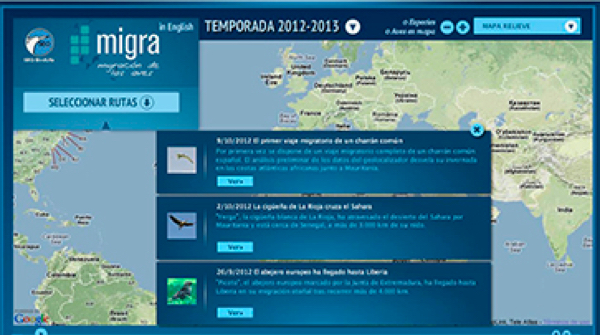 migracion-aves-fundacion-iberdrola-espana-6