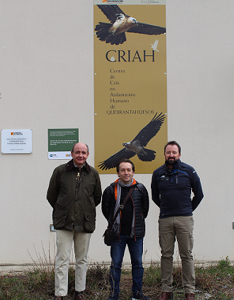 bearded-vulture-recober-project-fundacion-iberdrola-espana bearded-vulture-recober-project-fundacion-iberdrola-espana